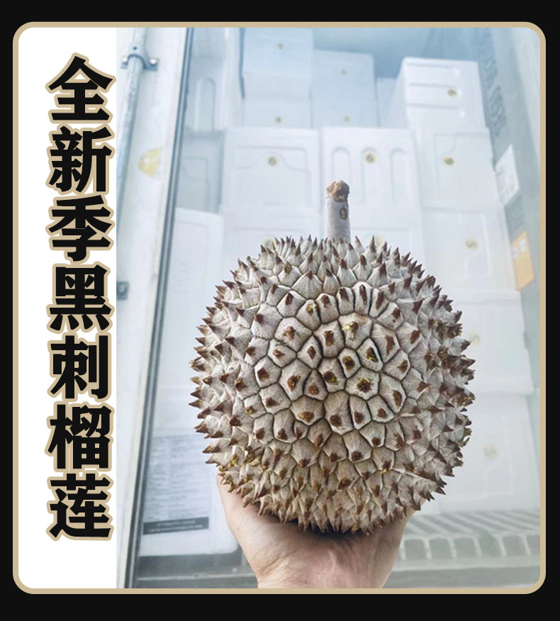  榴掌门榴莲