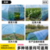 Plastic film thickened greenhouse plastic film drip-free film