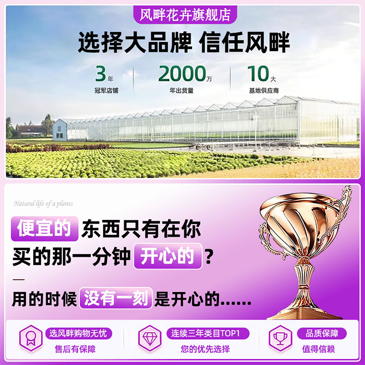 辣椒盆栽带果朝天椒泡椒可食用七彩五彩椒苗室内阳台绿植花卉盆栽,淘宝优惠券,粉丝福利购,淘宝优惠卷