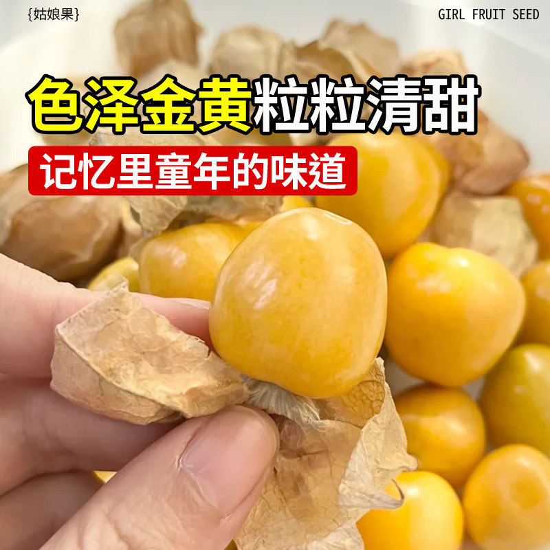 姑娘果种籽超甜特大果种子东北黄菇娘果阳台盆栽庭院奇异水果种孑,淘宝优惠券,粉丝福利购,淘宝优惠卷