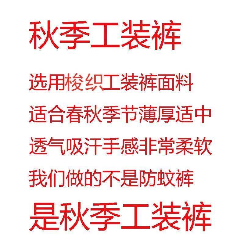 M中小童宝宝春秋款长裤儿童韩版棉洋气裤子男童秋季休闲工装裤潮