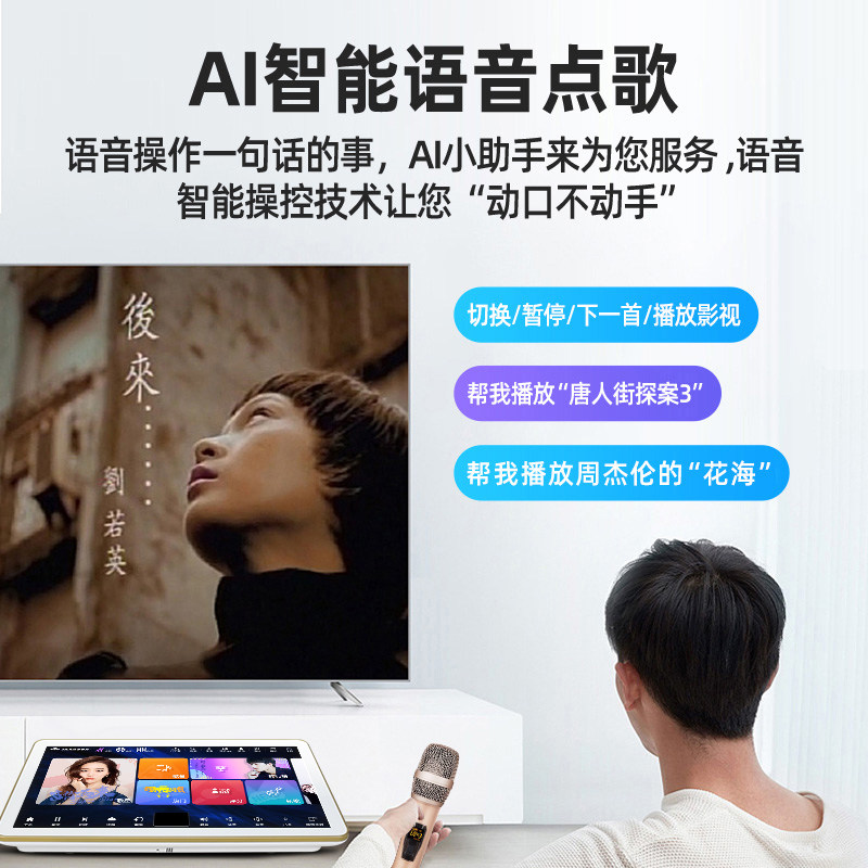 inandon /音王五合一家庭ktv功放 inandon哼哈KTV/卡拉OK音箱