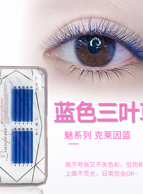 恋夫人蓝色三叶草嫁接睫毛