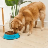 Нержавеющая сталь анти -стучащая собачья чаша для собачьей чаши для кошачья чаша для кошачья чаша для кошачья миска миска большая собака одно миска для собачьей корм для собак.