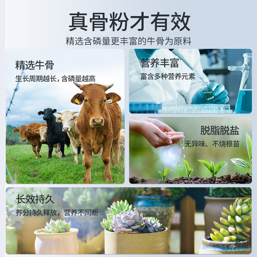 施可丰园艺骨粉花肥料有机肥种菜高磷促花盆栽植物钙肥养花专用肥 - 图1