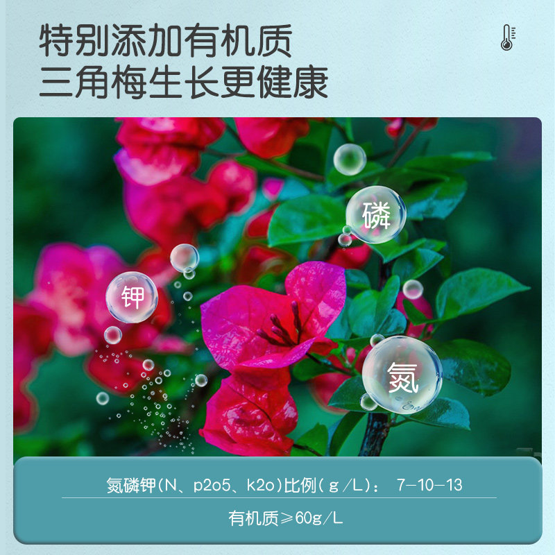 施可丰营养液三角梅专用肥花肥开花室内缓释肥品质活力斤装专业料,淘宝优惠券,粉丝福利购,淘宝优惠卷