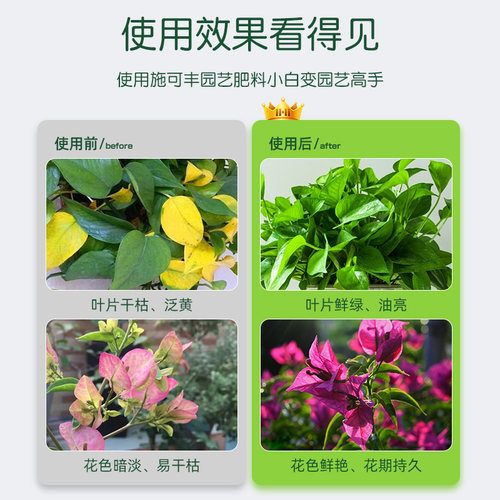 施可丰缓释肥颗粒通用型复合肥兰花多肉花卉专用肥料家用盆栽花肥 - 图2