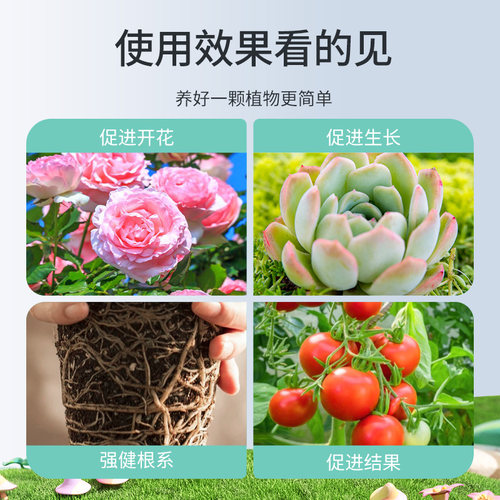 施可丰园艺骨粉花肥料有机肥种菜高磷促花盆栽植物钙肥养花专用肥 - 图2