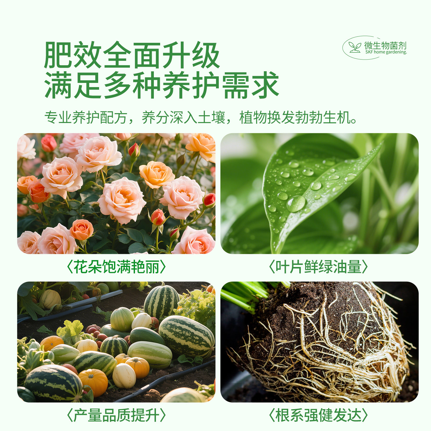 施可丰有机肥料蔬菜花卉通用家用花肥养花肉骨粉微生物菌剂菌肥,淘宝优惠券,粉丝福利购,淘宝优惠卷