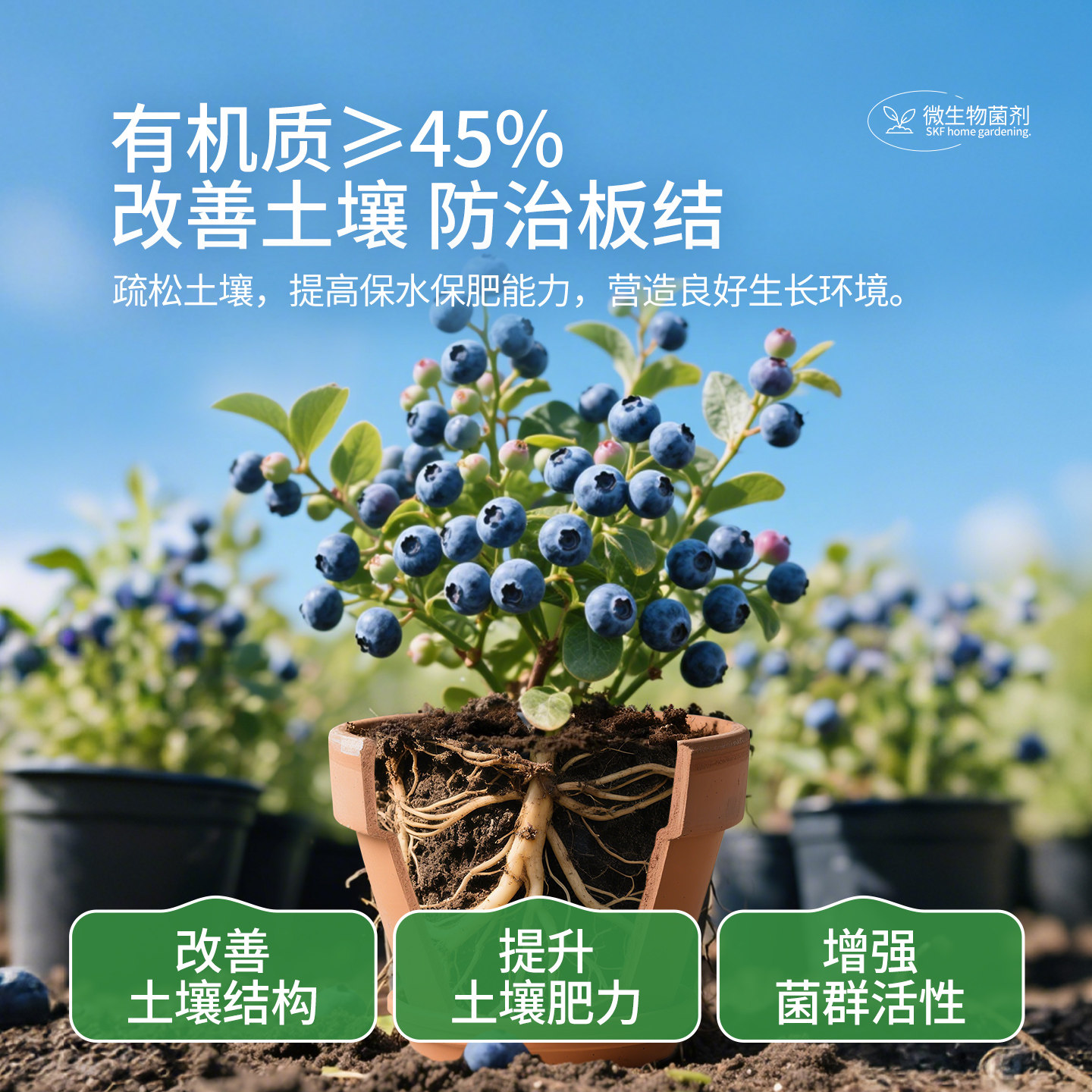 施可丰有机肥料蔬菜花卉通用家用花肥养花肉骨粉微生物菌剂菌肥,淘宝优惠券,粉丝福利购,淘宝优惠卷