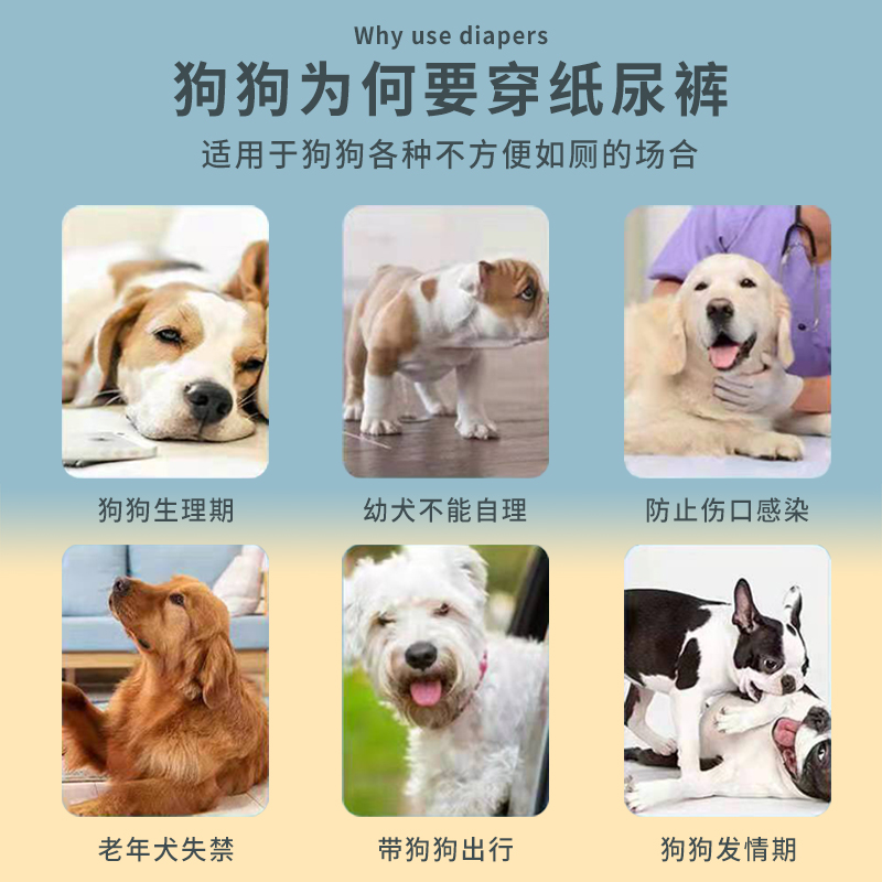 宠物狗狗尿不湿公狗母犬纸尿裤尿片礼貌裤生理裤泰迪公狗专用超薄-图2