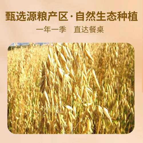 新鲜燕麦米新米真空包装粗粮组合杂粮粗粮米饭伴侣燕麦新米5斤 - 图1