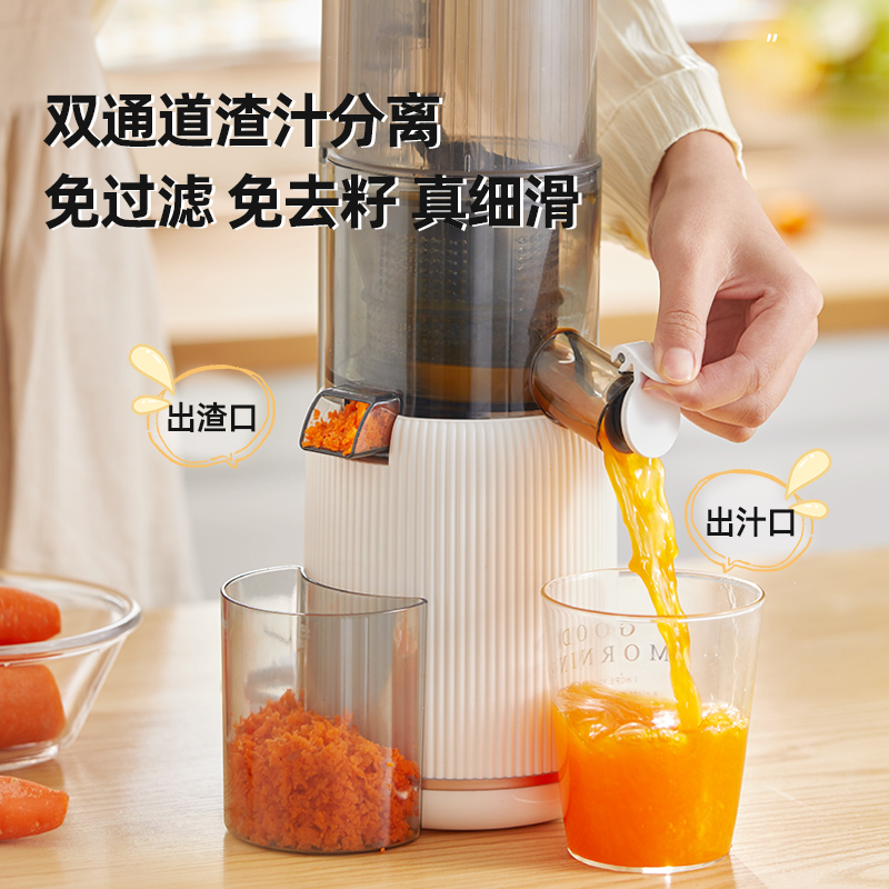 摩动汁渣分离家用炸水果汁榨汁机 摩动榨汁机