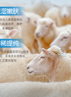 EMWM绵羊油护手霜保湿滋润嫩手防干防裂官方正品旗舰店