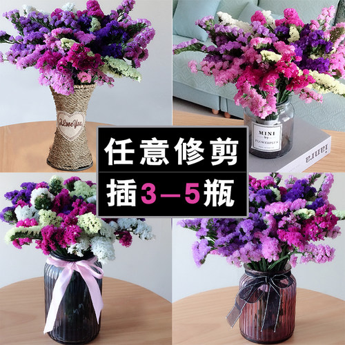 云南勿忘我满天星干花花束真花自然风干客厅摆设家居装饰件论斤卖 - 图2