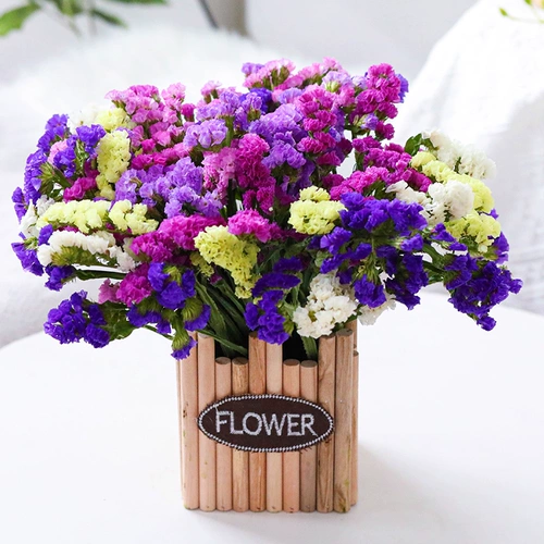 Забудьте меня, звезды сухие цветы Букт настоящие цветы натуральные свежие свежие гостиные мебель