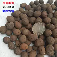 水培植物土球 新人首单立减十元 21年8月 淘宝海外 水培植物土球 新人首单立减十元 21年8月 淘宝海外