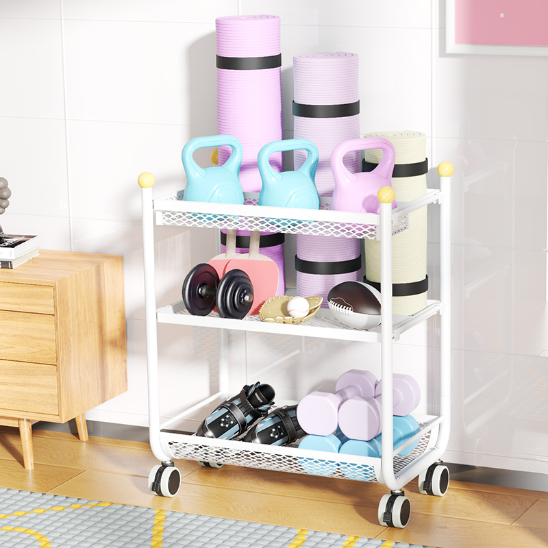 瑜伽垫健身器材多功能置物架家庭运动体育用品篮球架泡沫轴收纳架 - 图0