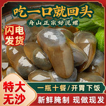 Zhoushan Drunk Mud Snail Fresh and Giant Raw Marinated Yellow Clay Snail Fresh Clay Snail Ready-to-eat Canned Seafood Ningbo Teprote 800g