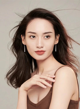 民升 竖条金属耳环女2024新款高级感小众流苏耳坠复古港风耳饰