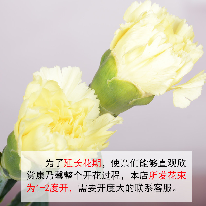 鲜花云南直发康乃馨鲜花束送妈妈生日批发向日葵花瓶插花昆明速递,淘宝优惠券,粉丝福利购,淘宝优惠卷