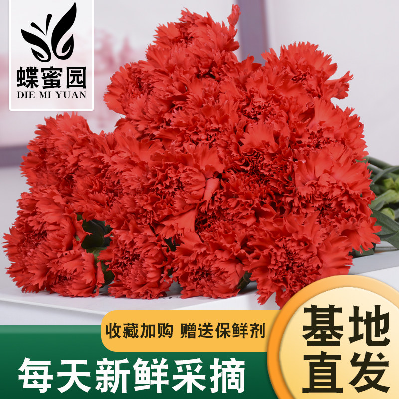 鲜花云南直发康乃馨鲜花束送妈妈生日批发向日葵花瓶插花昆明速递,淘宝优惠券,粉丝福利购,淘宝优惠卷