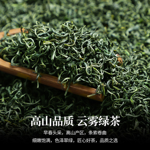 陈一凡高山云雾绿茶2026新茶明前特级早春茶叶浓香型嫩芽散装250g - 图0