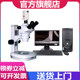 Depth of melting microscope automotive material welding weld depth