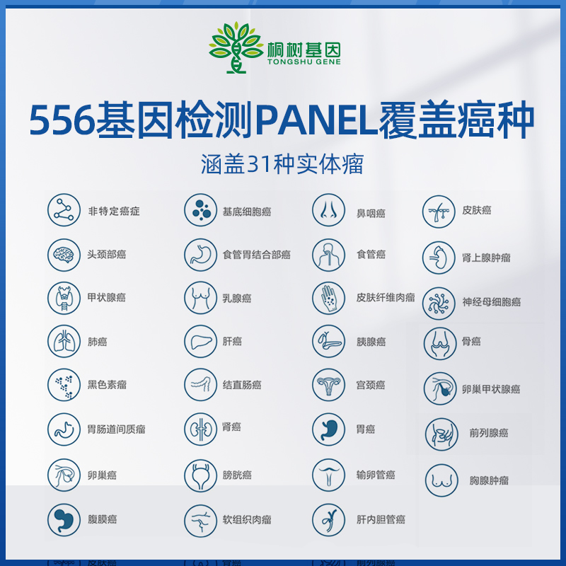 桐树生物 肿瘤热点全覆盖31种基因风险评估基因DNA检测居家自检 - 图0