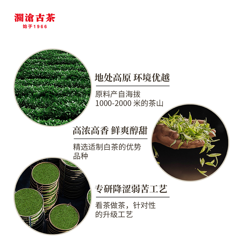 【惊喜福利】澜沧古茶茶妈妈白玉玲珑高山贡眉陈皮老白茶品鉴40g