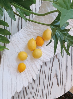 翅膀工作室托盘SELETTI艺术