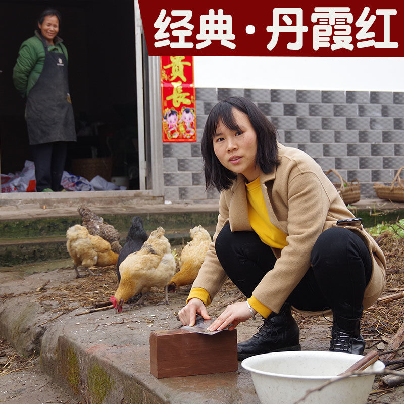 图2