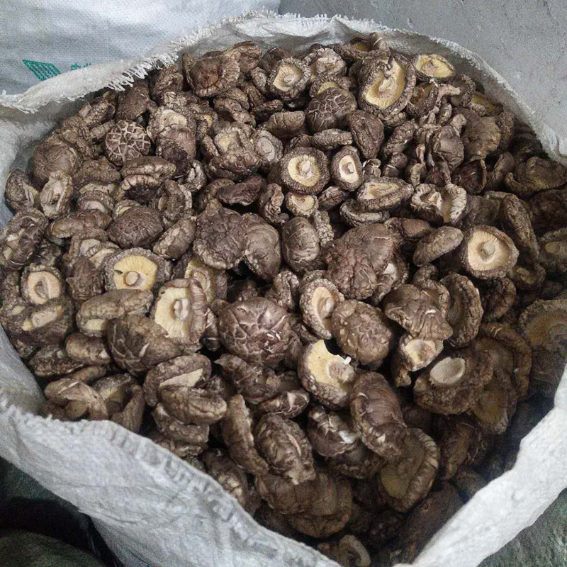 无干燥剂5斤散装包邮农家干香菇干货500g营养菌菇小蘑菇商用花菇,淘宝优惠券,粉丝福利购,淘宝优惠卷