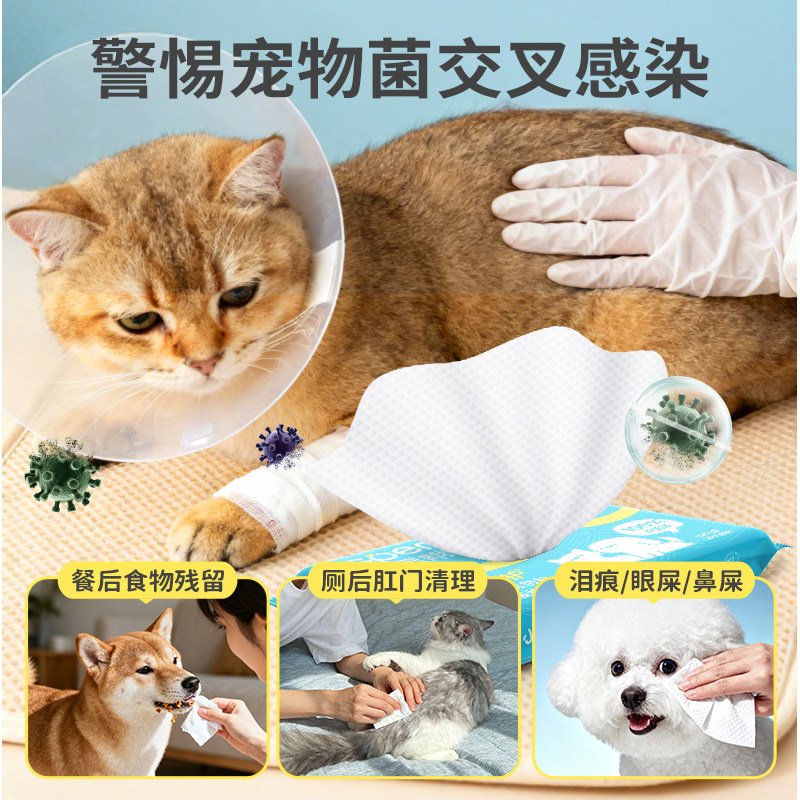 宠物湿巾狗专用加大加厚消毒杀菌擦脚屁股神器猫咪泪痕清洁湿纸巾,淘宝优惠券,粉丝福利购,淘宝优惠卷