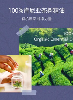 芳疗舒缓玫瑰英国香薰精油