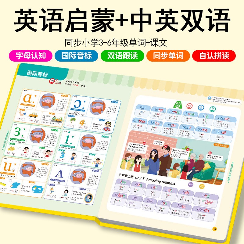 9月全新英语单词有声书小学3-6同步单词中英双语点读早教发声书