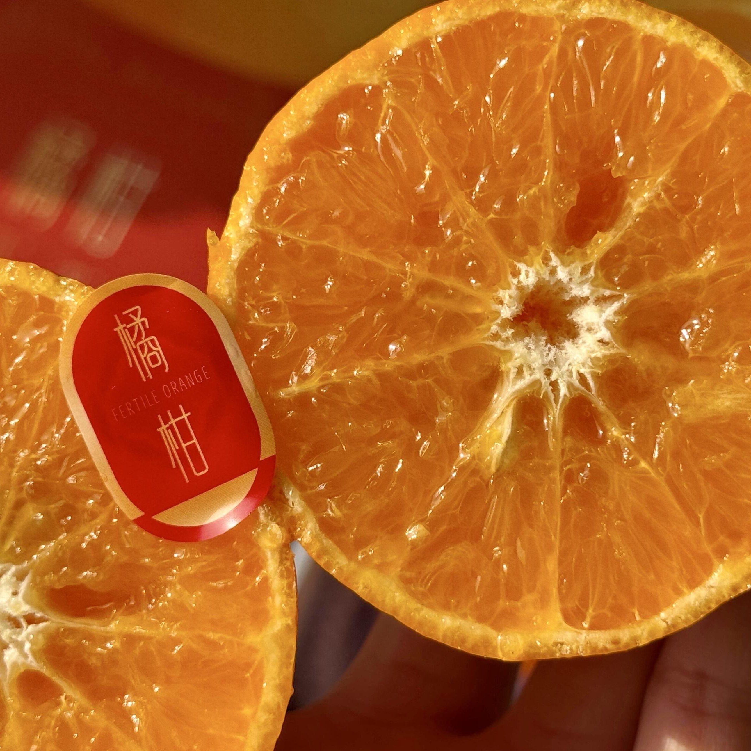 【顺丰包邮】白富美橘柑4斤礼盒装纯甜沃柑橘子蜜桔当季新鲜水果,淘宝优惠券,粉丝福利购,淘宝优惠卷