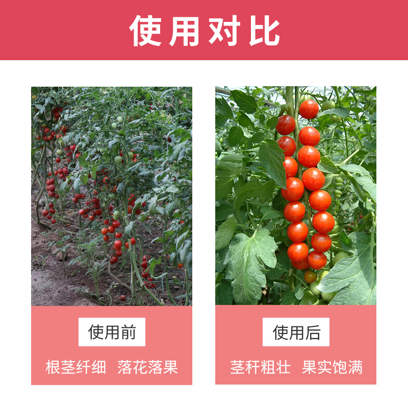 花肥家用通用型花卉绿箩肥料植物颗粒缓释肥速效全能型三元复合肥 - 图2