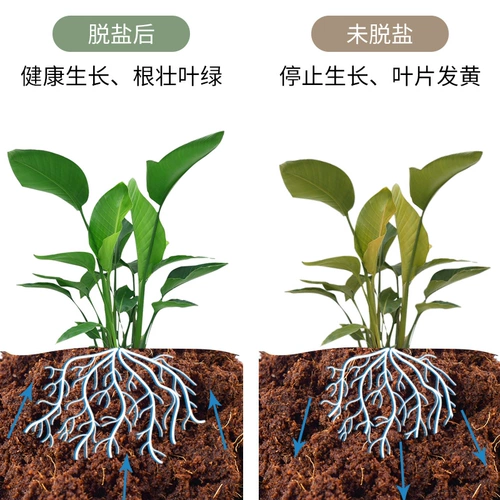 V Кокосовый кирпичный пищевой кокосовый отруби, кокосовая раковина, цветок, многоадаленные звень
