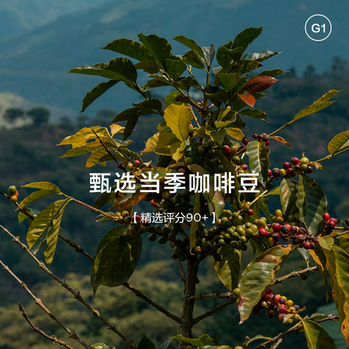 CAFFEMARYLING玛俪琳 全球原产地甄选精品挂耳咖啡滤挂式手冲意式 - 图0