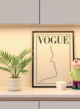 现代简约客厅玄关装饰品摆件家居电视柜桌面绿植软装乔迁新居礼品