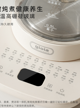 焦亚多功能养生壶家用煮茶器