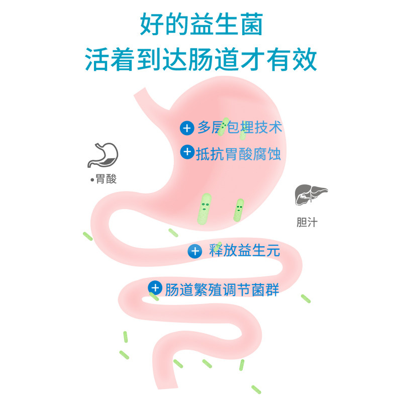 禹益益生菌活性菌抗幽门螺旋杆菌 禹益益生菌