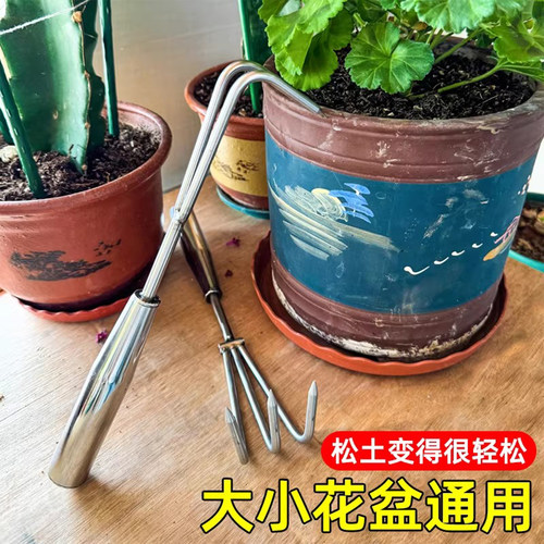 不锈钢小耙子花盆松土捡菌子找蘑菇神器家用种花养花盆栽赶海工具 - 图0