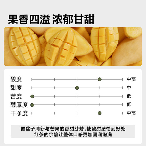 SLAB TOWN经典埃塞 耶加雪菲意式 现磨黑咖啡豆粉浅烘焙200g*2袋 - 图3