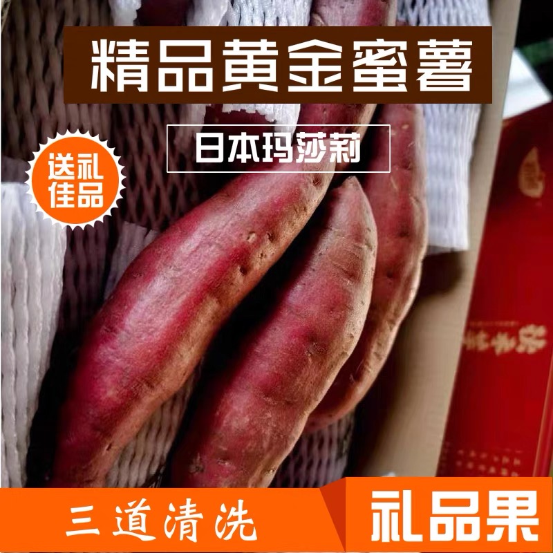 【出口日本】玛莎莉红薯地瓜东北沙地黄金蜜薯糖心黄心烤番薯康平