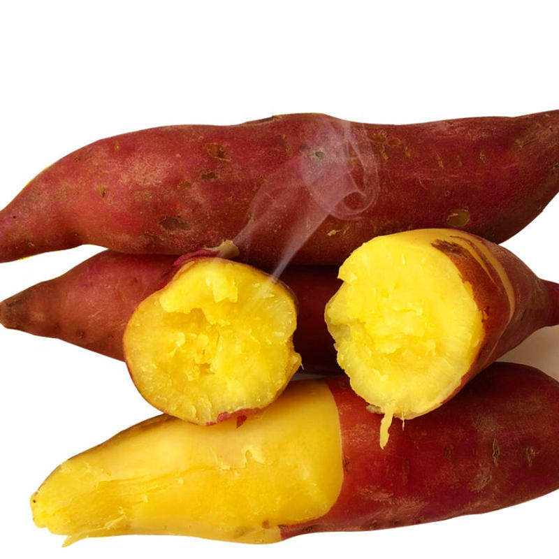 榴莲蜜薯【优级】东北沙地红薯玛莎莉日本地瓜黄金糖心黄心烤番薯