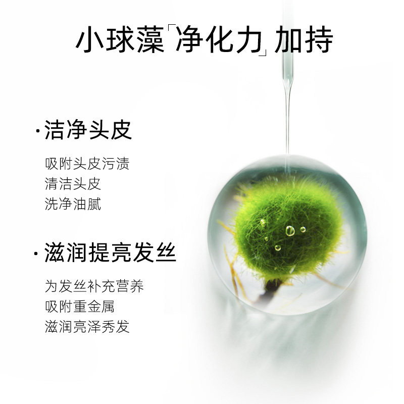 法国FORVIL温莎森林丝润盈亮洗发水控油蓬松柔软顺滑无硅油洗发露