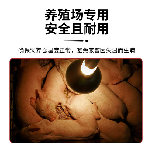 养殖场保温灯灯口开关线灯头带开关带线e27螺口吊灯头陶瓷耐高温 - 图0
