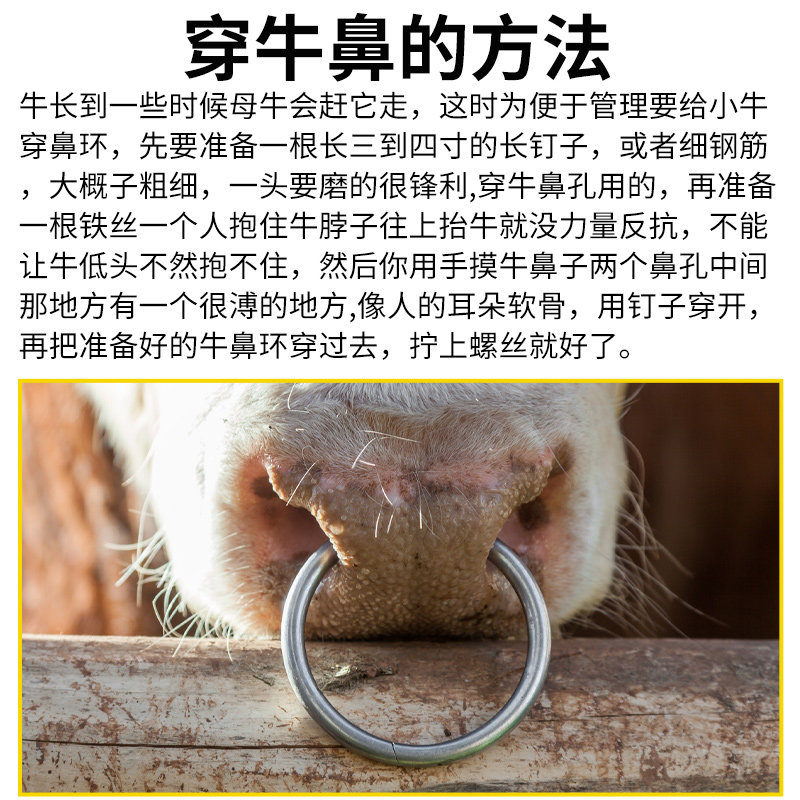 悦牧牛鼻环兽用金属牛鼻环牛鼻圈拴牛圈牛鼻子牵引工具,淘宝优惠券,粉丝福利购,淘宝优惠卷